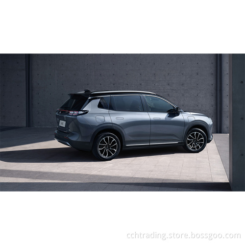 Weltmeister New Energy Car W6 Электроэлектростанция левого рука